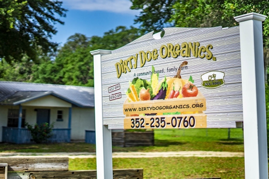 Dirty Dog Organics: Community-based farming in Leesburg, FL