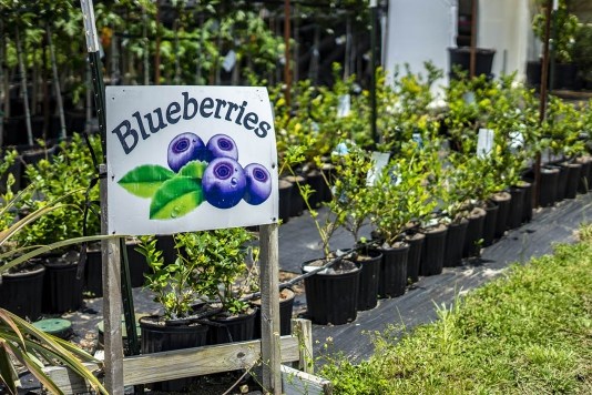 A Natural Farm and Education Center brings nature’s bounty to Lake County