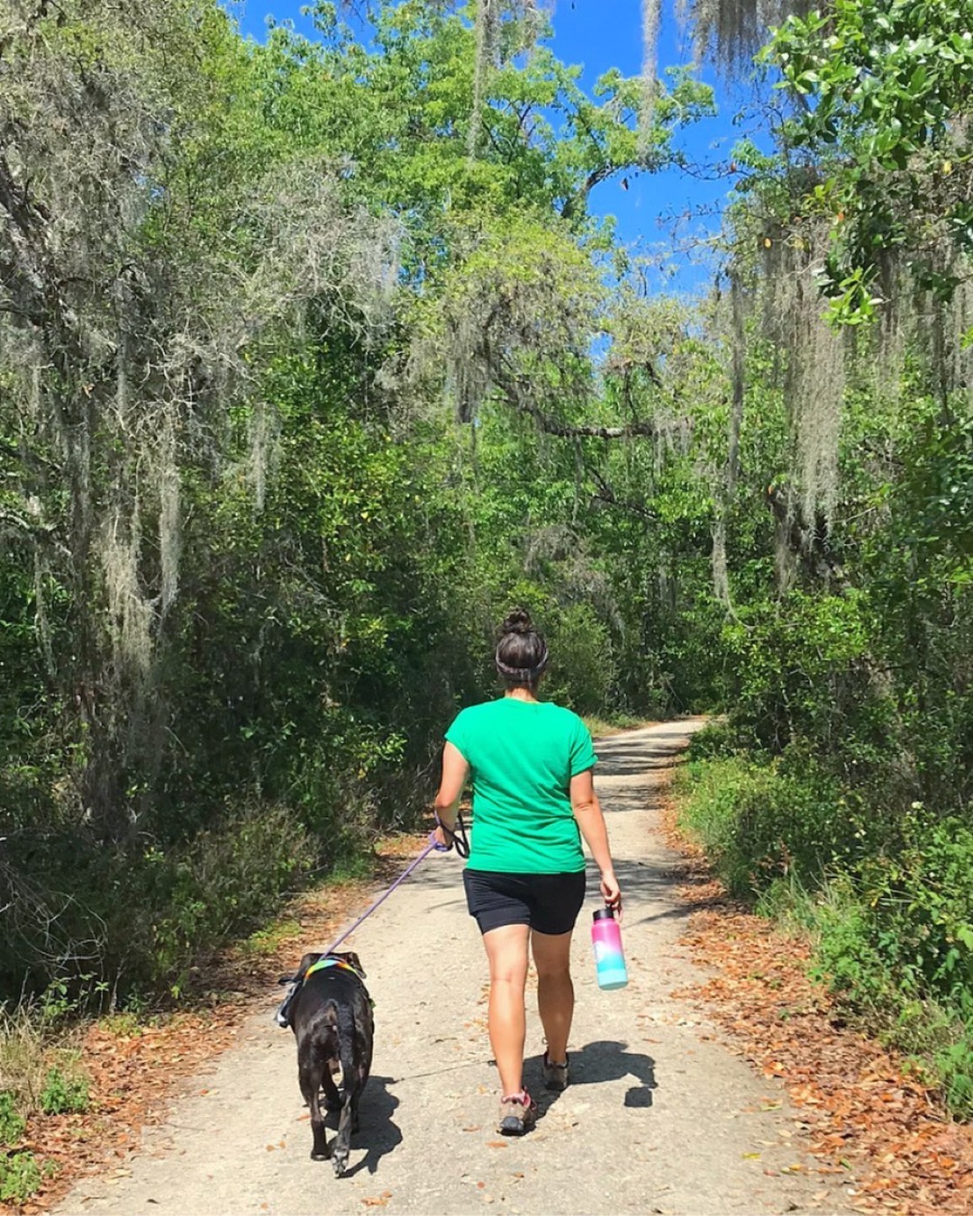 Girl walking a dog on a leash away on a trail with trees on each side of the trail