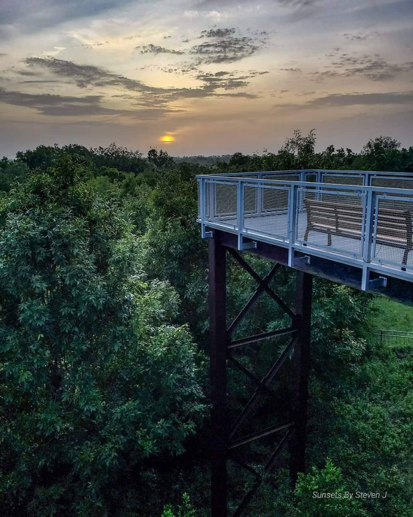 Sunrise with overcast skies with a scenic overlook platform in the foreground over treetops below.