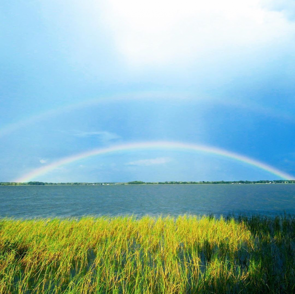 landscape of Little Lake Harris with lake grass in foreground and two rainbows in the sky above the water.