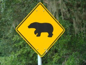 Photo of a road sign depicting a bear.
