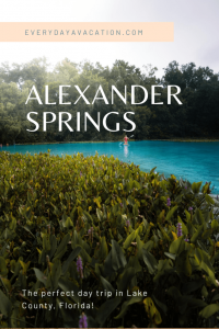 Photo of Alexander Springs State Park with text overlay. It reads: "Everydayavacation.com Alexander Springs. The perfect day trip in Lake County, Florida!"