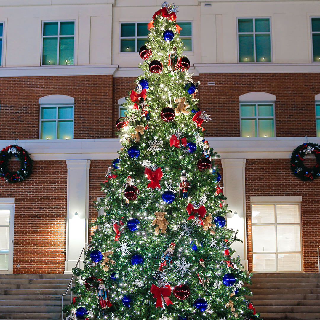Christmas Tree, Clermont, Christmas, Lights