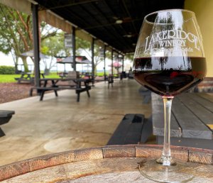 Close-up photo of a glass of red wine with picnic tables in the background. Photo is at the Lakeridge Winery.