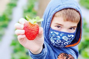 A young boy shows a ripe strawberry to the camera.