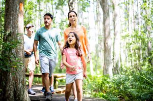 A family of four hikes a nature trail.