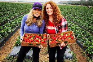 Two women stand together and hold boxes of freshly picked strawberries at Southern Hill Farms.
